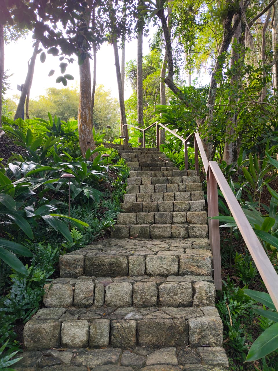 Escadaria em pedra