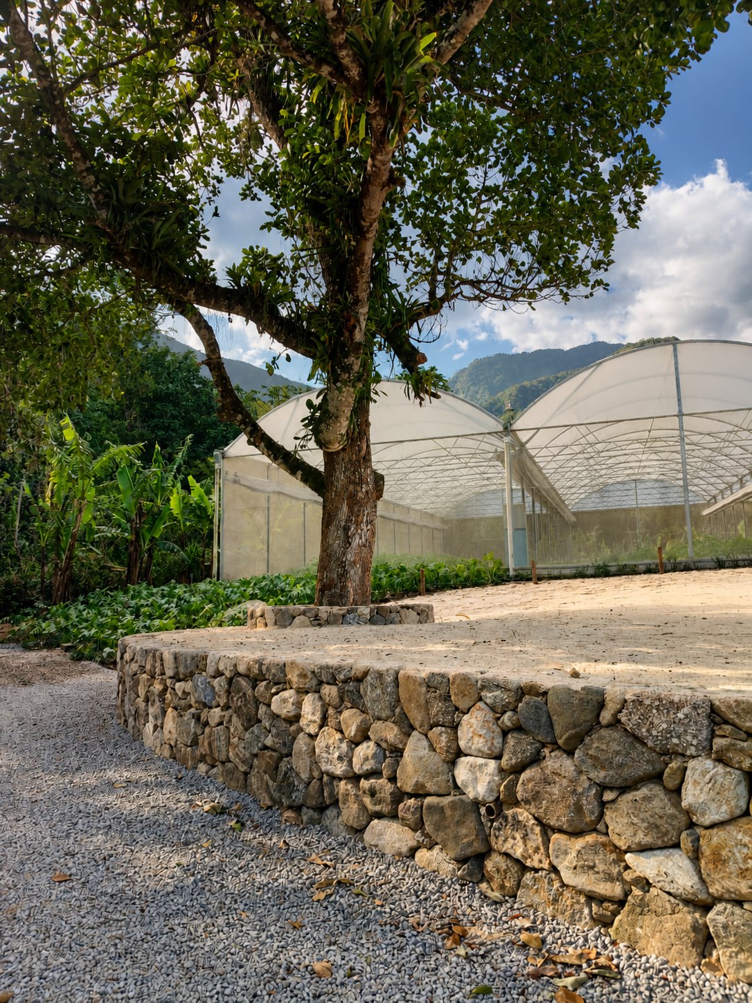 Muro junto à horta